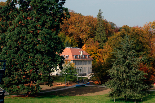 Le château de Dorigny et les arbres autour
