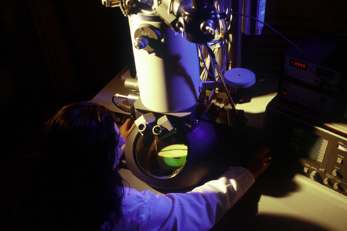A researcher with its microscope